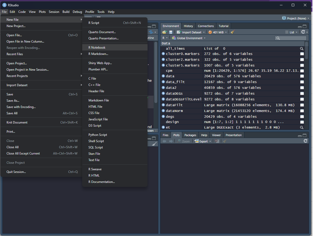 rstudio console